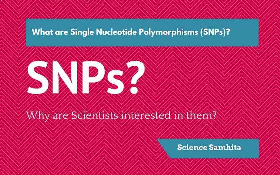 single-nucleotide-polymorphisms