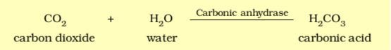 formation_of_carbonic_acid
