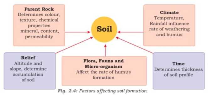 factors_affecting_soil_formation