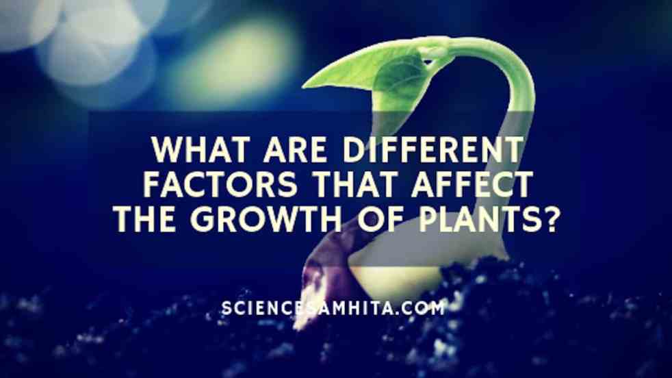 factor_affecting_plant_growth