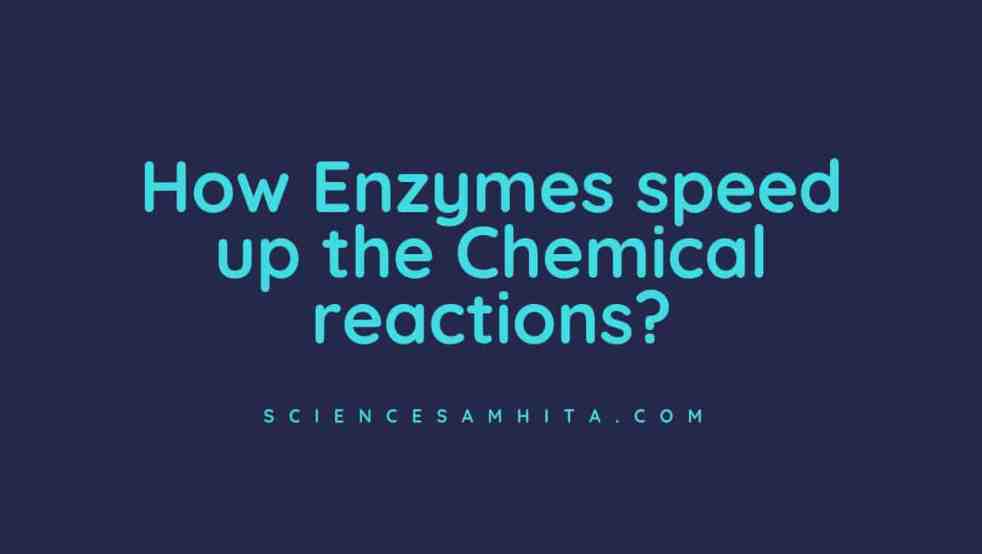 how_enzymes_speeds_up_reactions