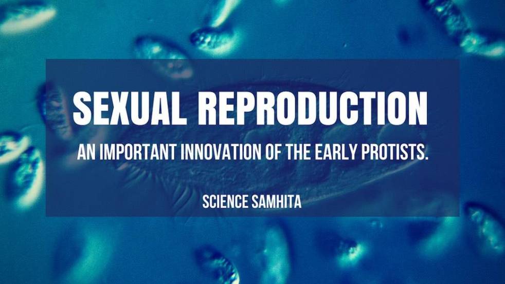 Sexual-Reproduction-in-Protists