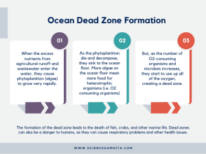 Ocean Dead Zone Formation