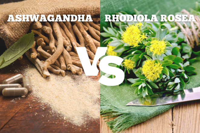 rhodiola_rosea_vs_ashwagandha